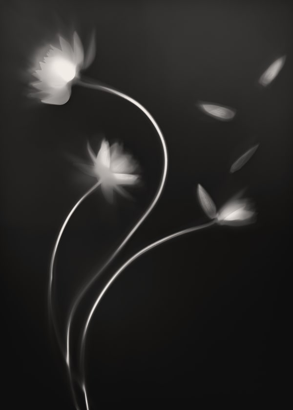 Yumiko Izu, 2020 Utsuroi 149, 2020