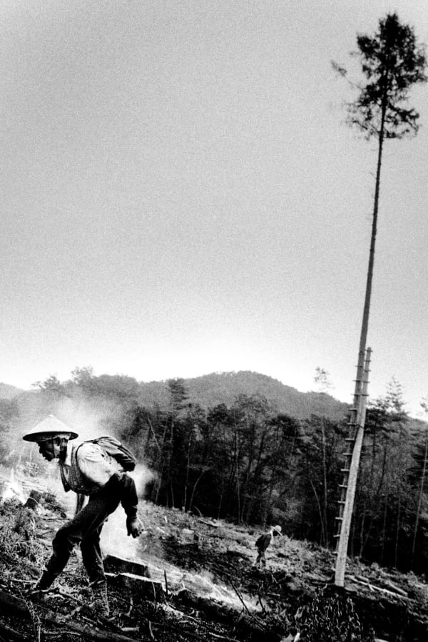 Hajime Kimura, Matagi 13, 2007-2013