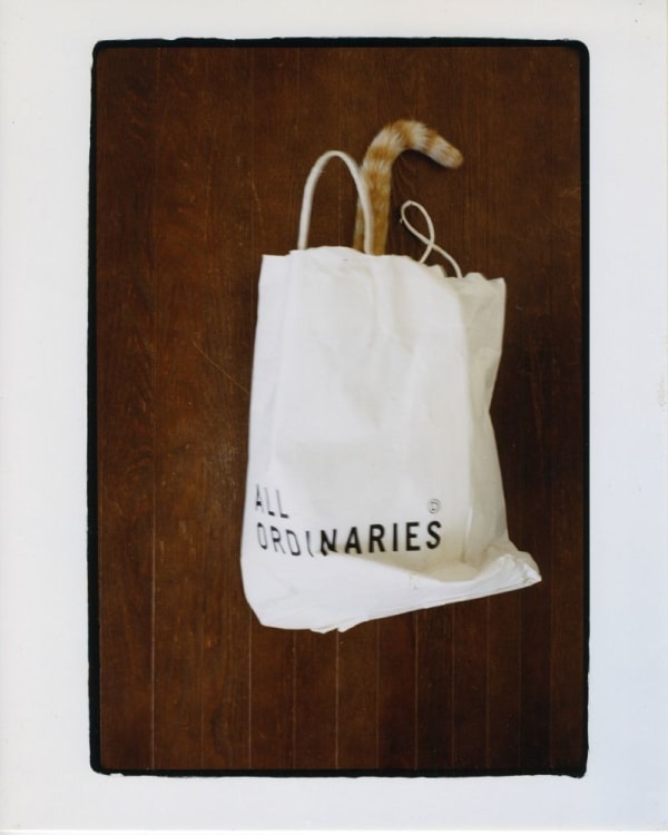 NEKO Project, Toshiko Hashimoto - Untitled