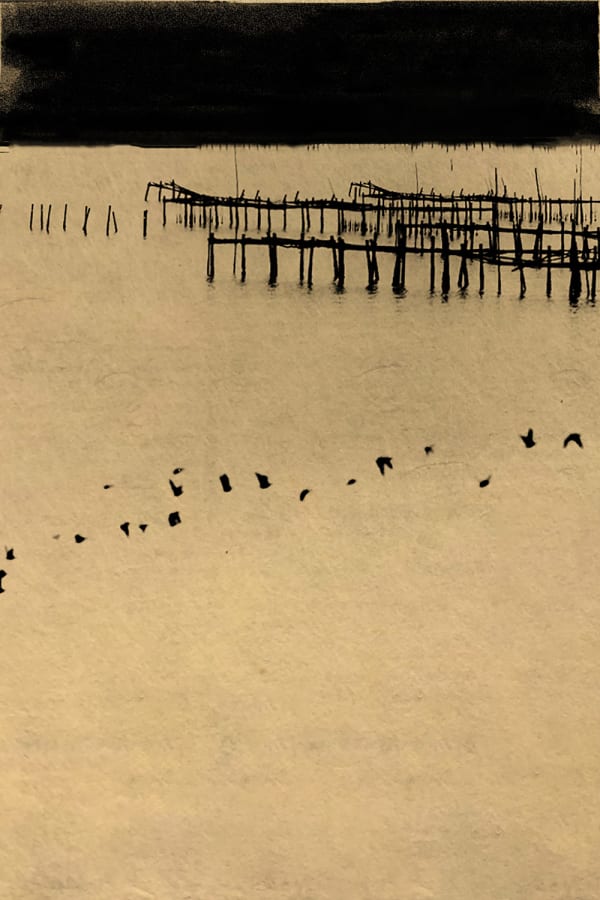 Paul Cupido, Matsushima Day 3, 2019