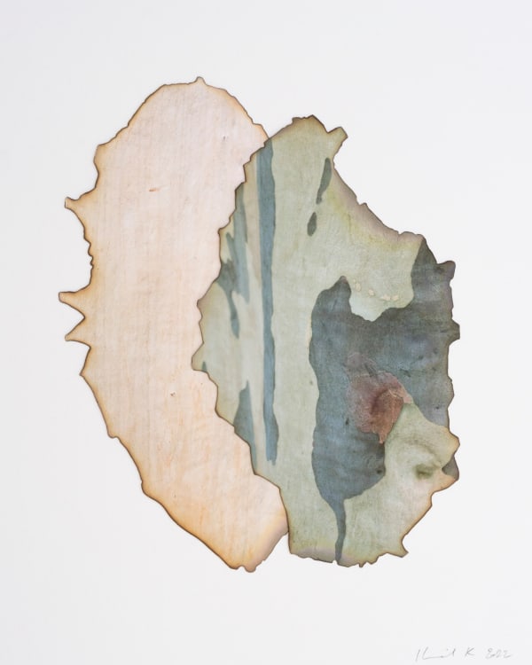 Morvarid K, This Too Shall Pass 3-8, 2022