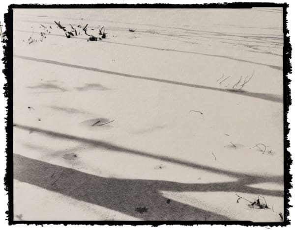 Nobuyuki Kobayashi, tansyou, 2019