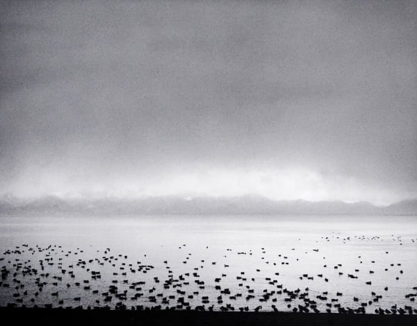 Pentti Sammallahti, Lake Inawashiro, Japan, 2005