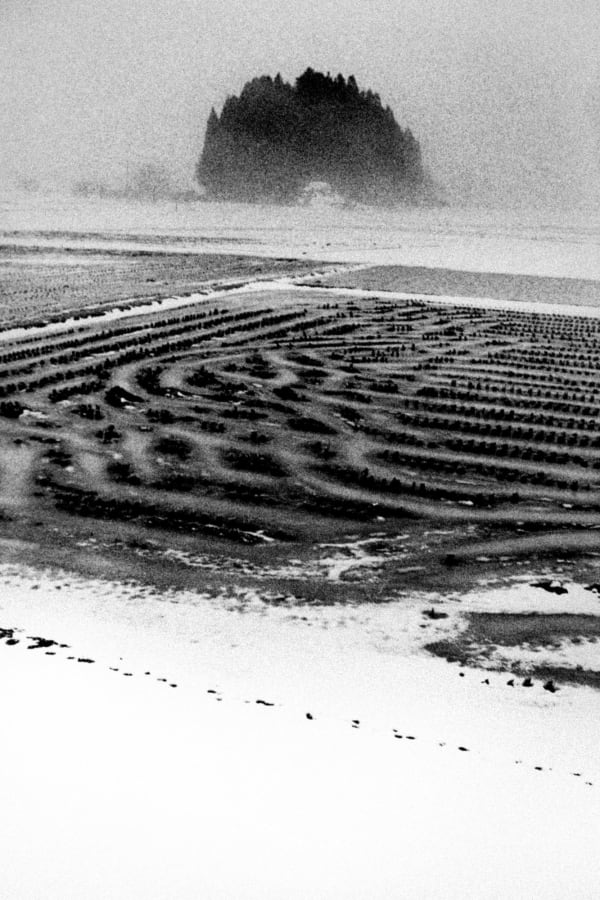 Hajime Kimura, Matagi 02, 2007-2013