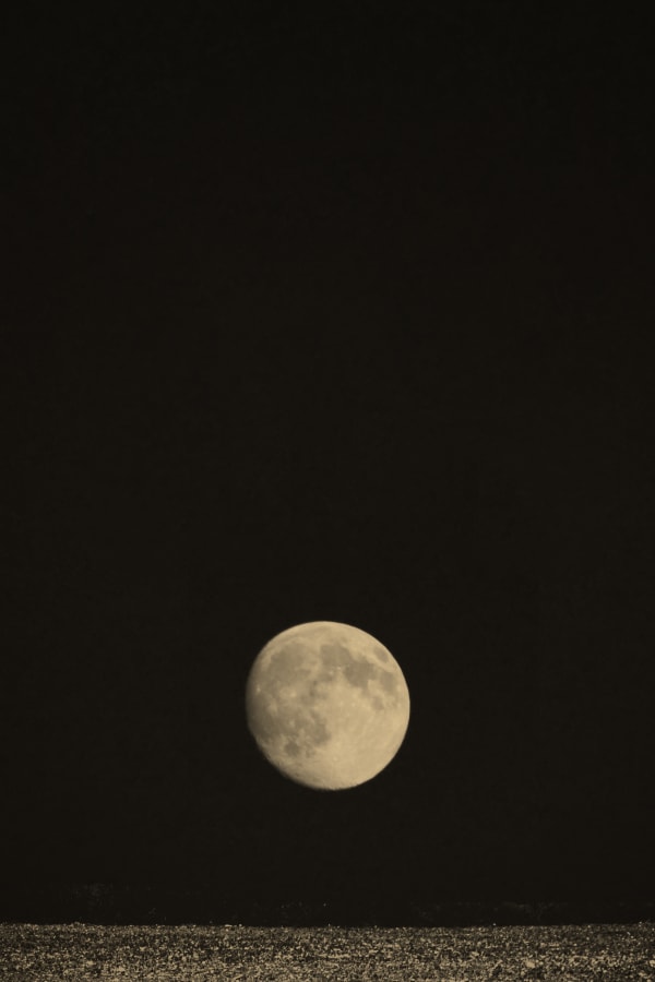 Paul Cupido, An island in the moon I, 2020