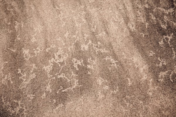 Yukari Chikura, Untitled, from Fluorite Fantasia, 2015