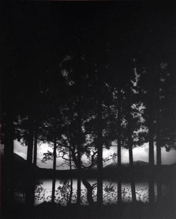 Pentti Sammallahti, Lake Numakawa, Japan, 2005