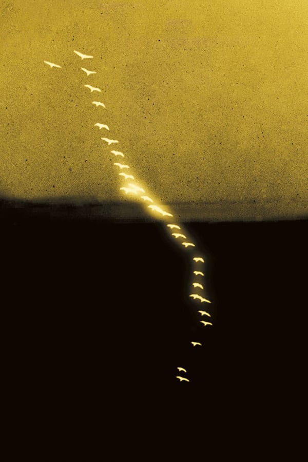 Paul Cupido, Yumemiru II, 2017