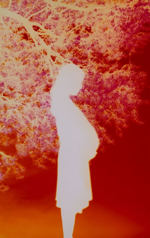 Motohiro Takeda, Untitled, from Another Sun, 2014