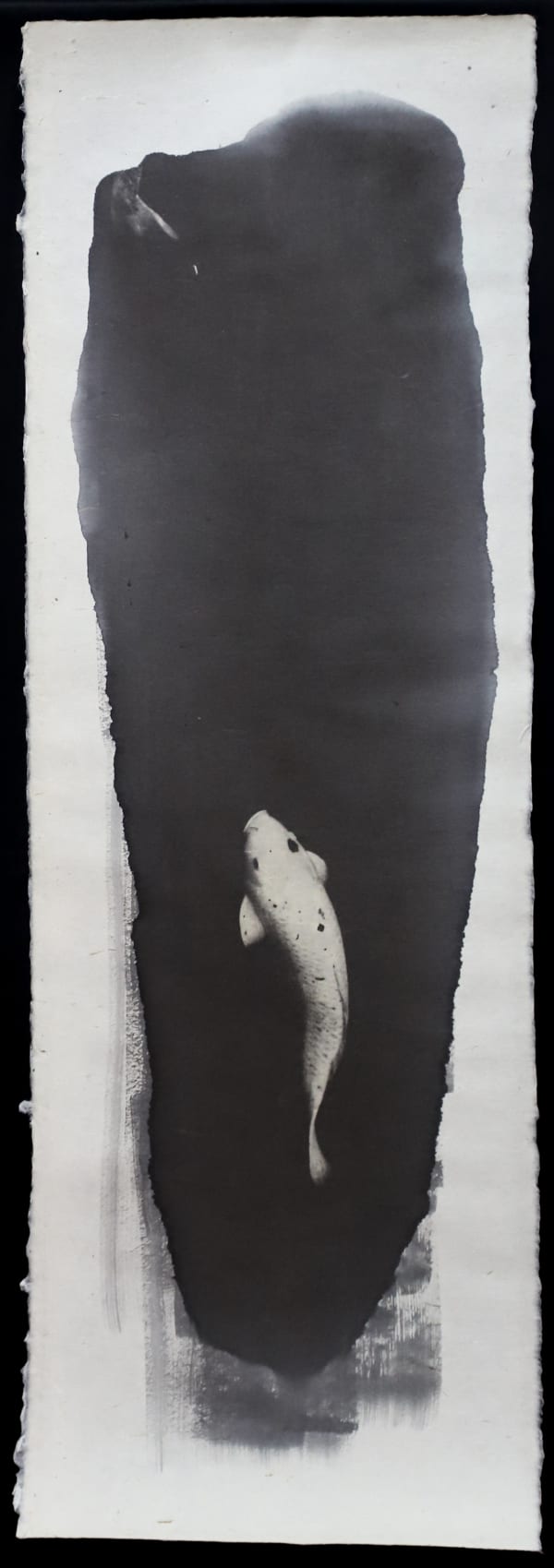 Naohiro Ninomiya, Nokomi-11, 15/12/2019, 2019