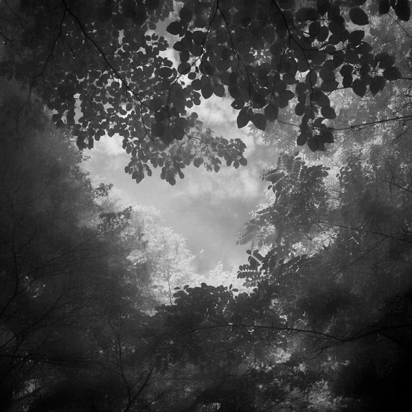 Toshiya Watanabe, Somewhere not here #007, 2015