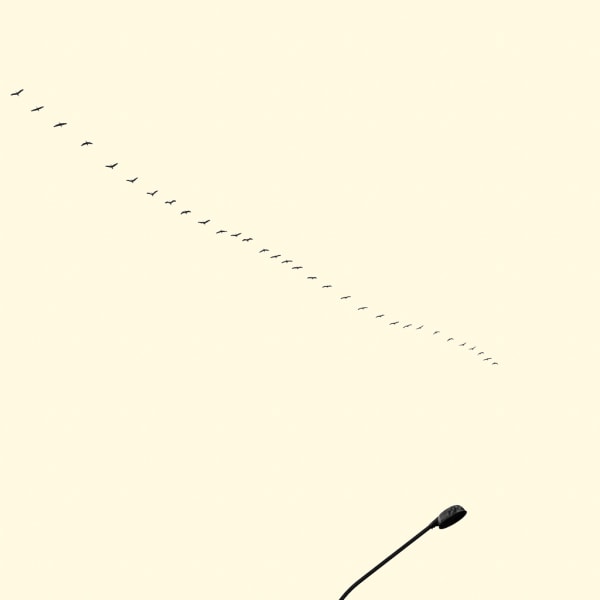 François Laxalt, Trente Deux / Thirty two, 2014