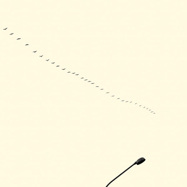 François Laxalt, Trente Deux / Thirty two, 2014