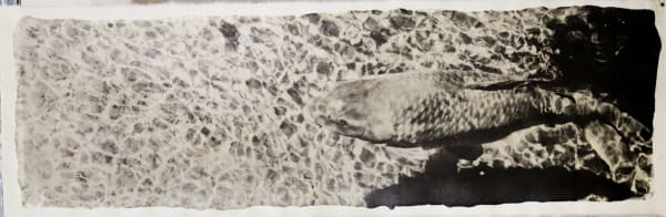 Naohiro Ninomiya, Nokomi-13, 2022