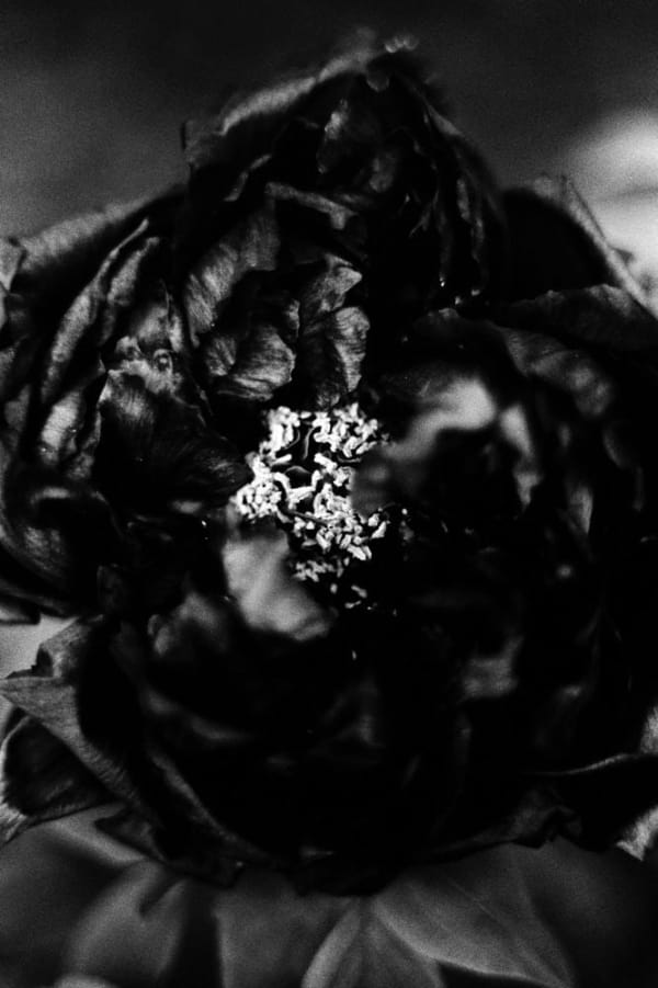 Munemasa Takahashi, Laying Stones 031, 2014