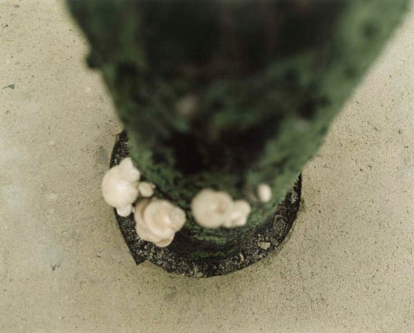 Yoko Ikeda, 1886-09 Chiyoda Ward, Tokyo, 2020