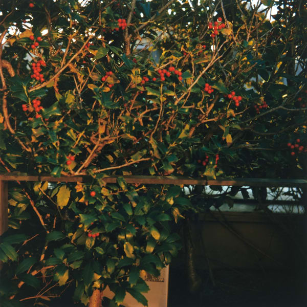 Mikiko Hara, Untitled from Medeia (#276)