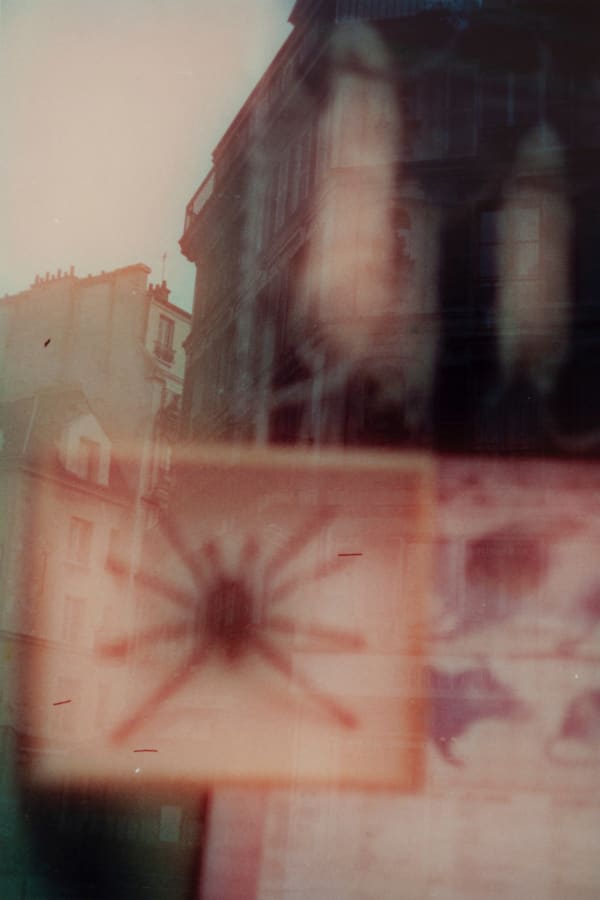 Hanayo, Untitled (spider), ca.1990/2021
