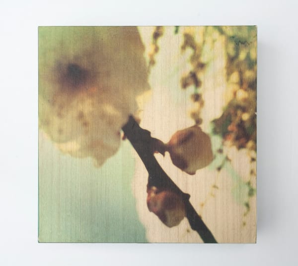 Miho Kajioka, and, do you still hear the peacocks?, 2021