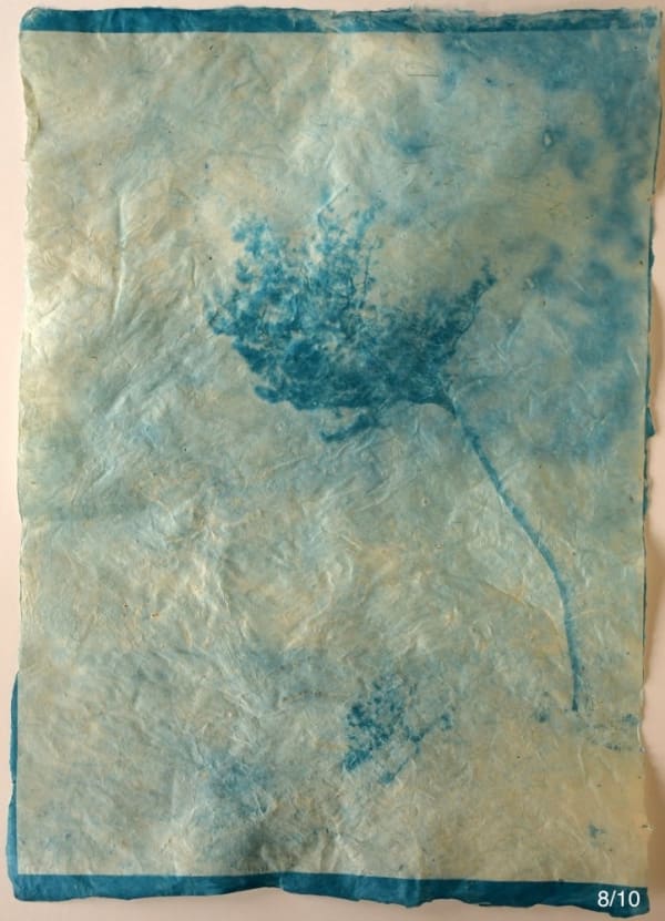 Mika Horie, The harmony with the wind, 2019