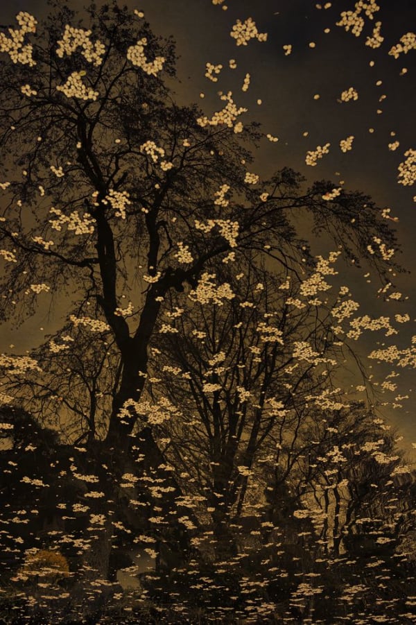 Albarrán Cabrera, The Mouth of Krishna #60755, 2018