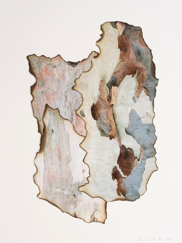 Morvarid K, This Too Shall Pass 3-12, 2022