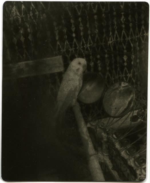 Miho Kajioka, #0023, 2021