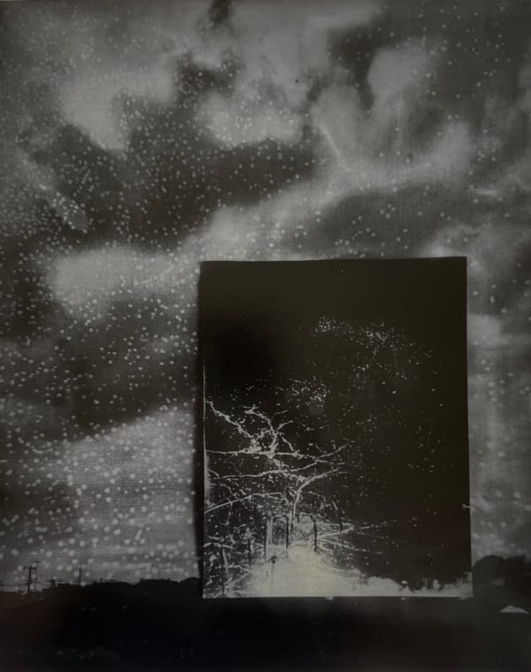 Sayako Sugawara, Y-HH, 2018