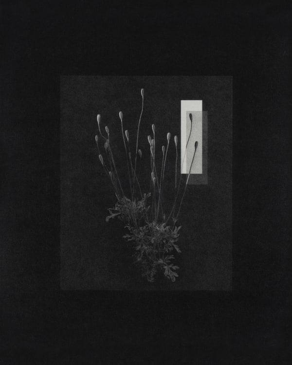 Sayuri Ichida, Ctrl Shift + J #002, 2023