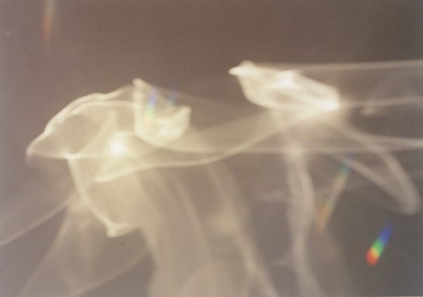 Ariko Inaoka, Eagle & Raven - dancing lights, 2005