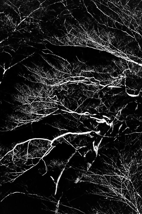 Munemasa Takahashi, Laying Stones 025, 2014