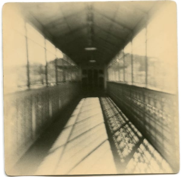 Miho Kajioka, BK0176, 2016