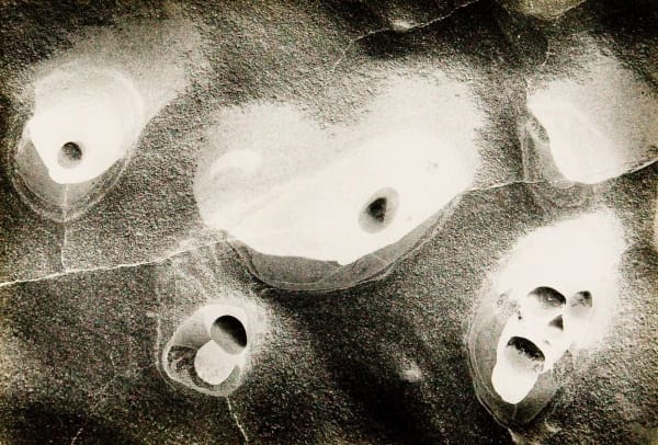 Various International Artists, Wynn Bullock - Point Lobos, 1970