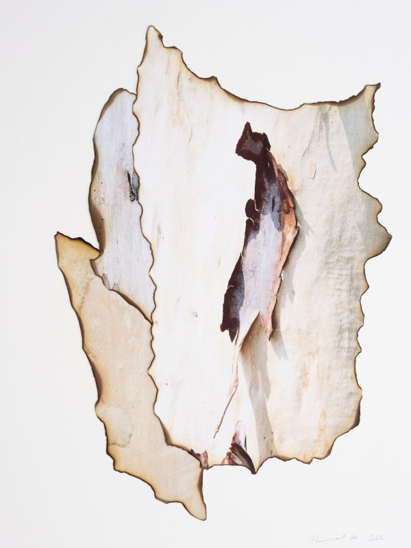 Morvarid K, This Too Shall Pass 3-14, 2022