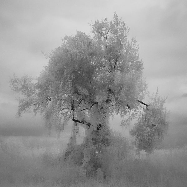 Somewhere not here