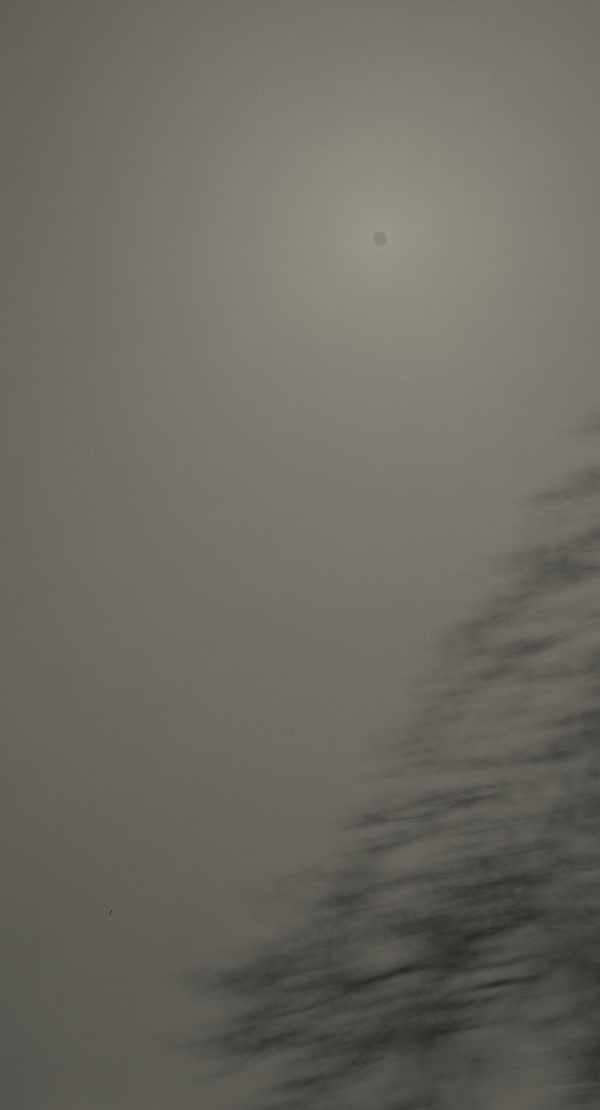 Keiichi Ito, F1363, 2019