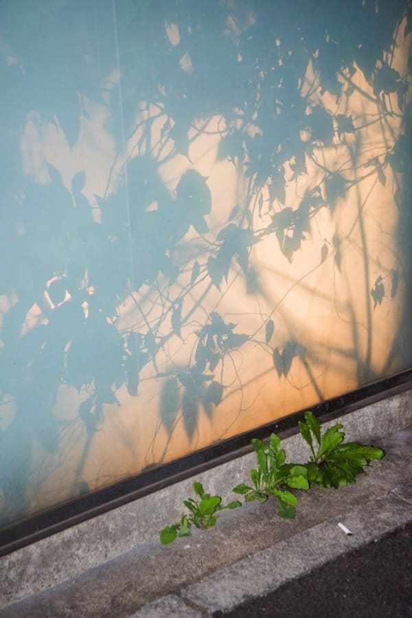 TADA, Anonymous Scene 2, 2017