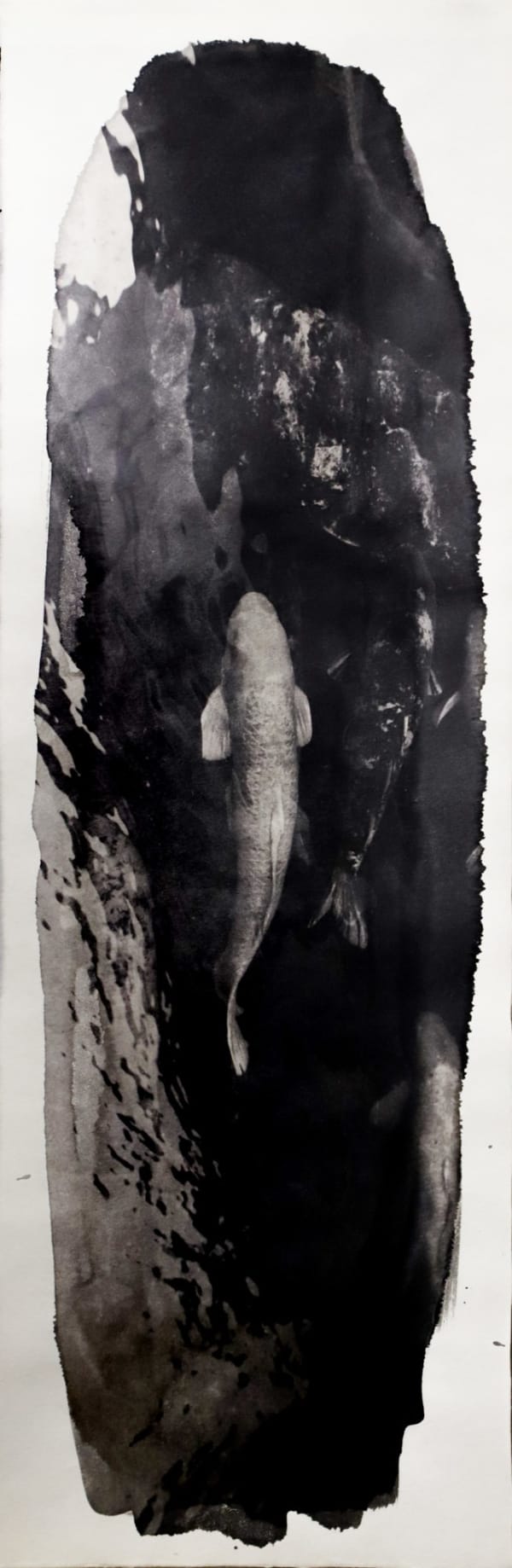 Naohiro Ninomiya, Nokomi-21, 2022