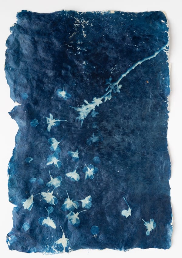 Mika Horie, Sakuradrop, 2024