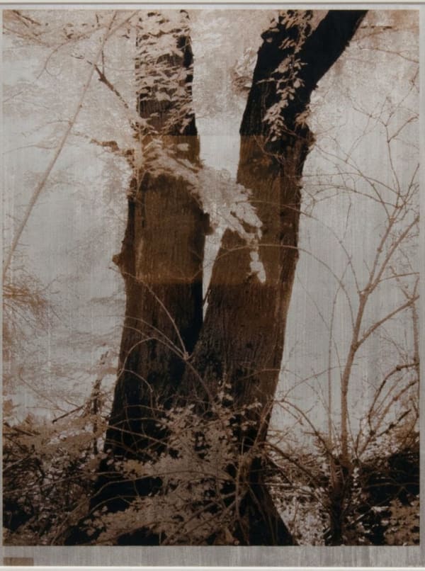 Norio Takasugi, 3-27-br, 2018