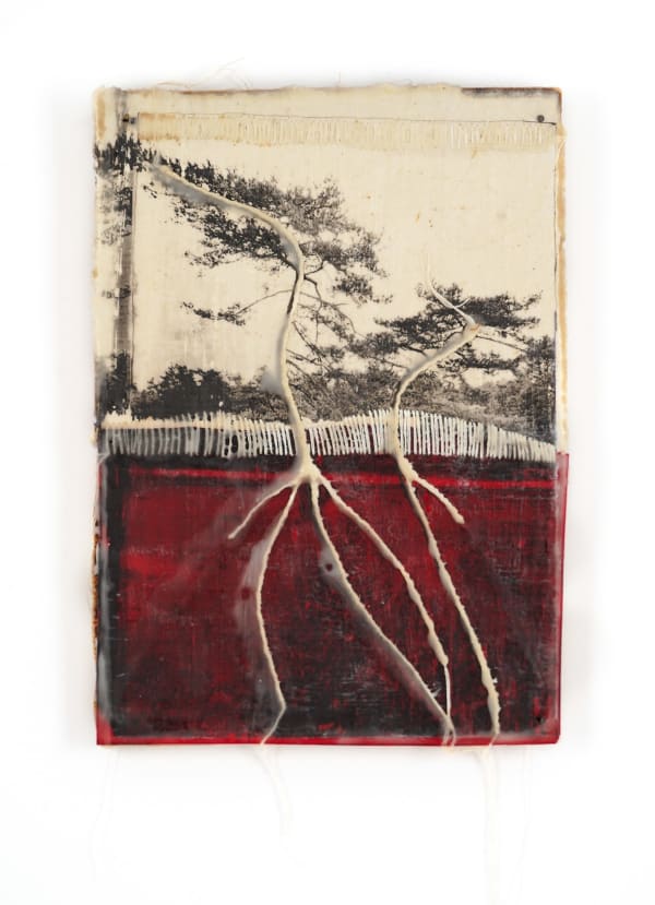 Jackie Mulder, Thought Trails 422