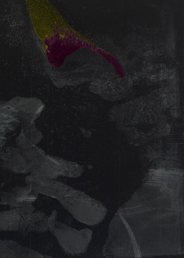 Zero