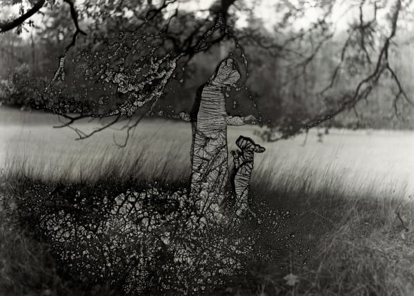 Ingrid Dorner, Liminal.II.02, 2024