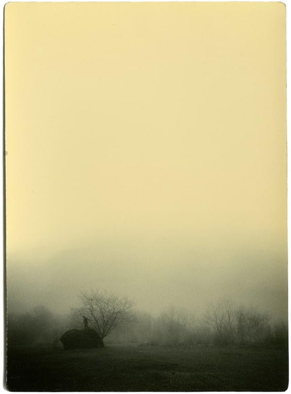 Miho Kajioka, BK0288, 2015