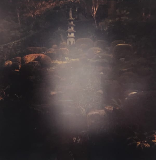 Sean Lotman, Meditation interrupted, 2008