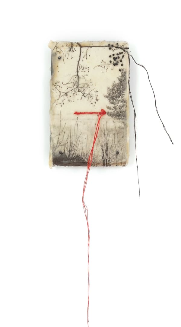 Jackie Mulder, Thought Trails 487