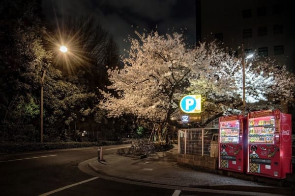 Eiji Ohashi, Roadside Lights 038, 2018
