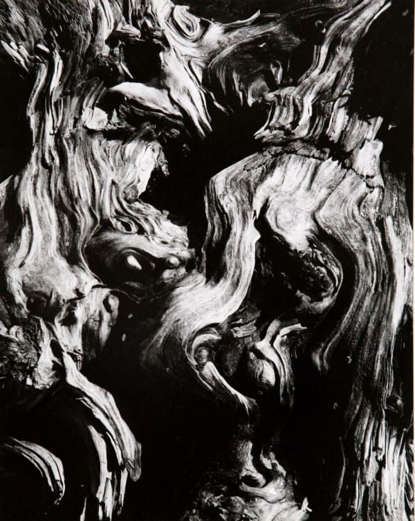 Various International Artists, Brett Weston - Untitled (Tree Bark Abstraction), 1970