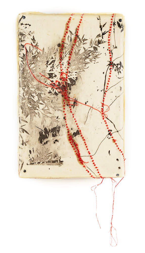 Jackie Mulder, Thought Trails #525, 2025