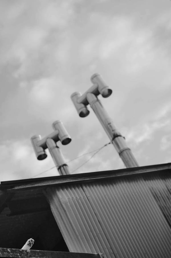 NEKO Project, Aiko Iwasaki - Untitled